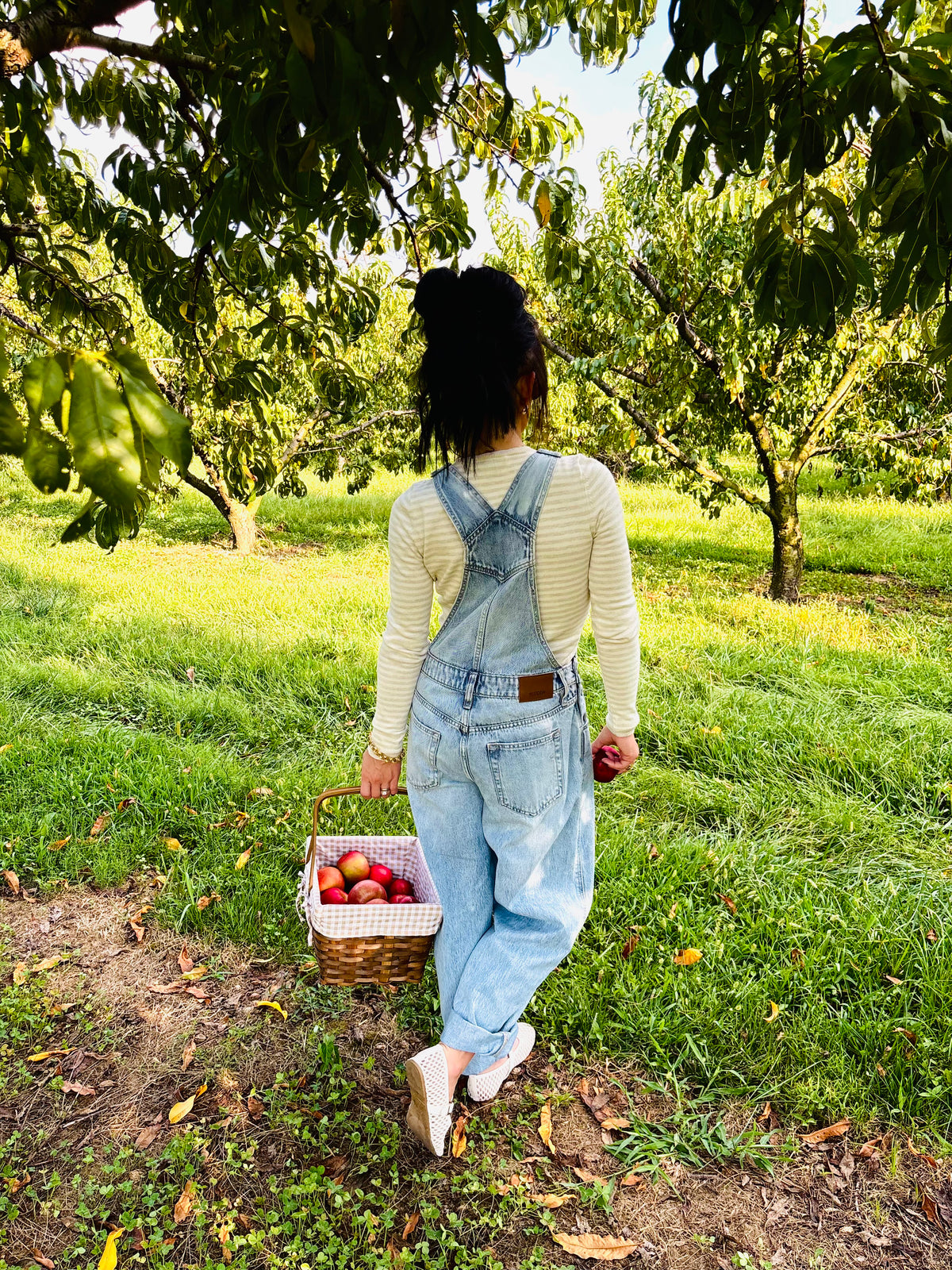 Backroad Blues Overalls