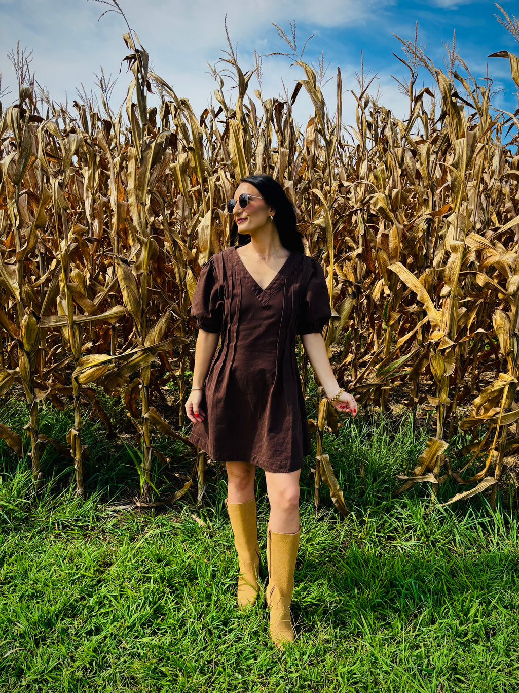 Brown Sugar Mini Dress